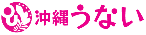 地域政党　沖縄うない